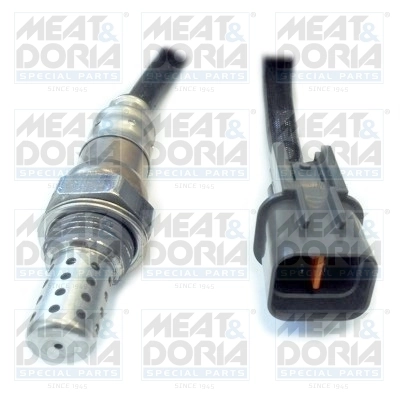 Oxygen Sensor